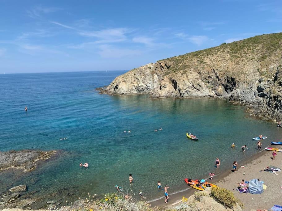 Superbe Appt Vue Mer Climatise Banyuls-sur-Mer Kültér fotó